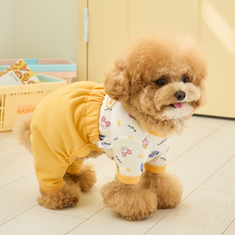 BENNY'Sのドッグウェア着用写真