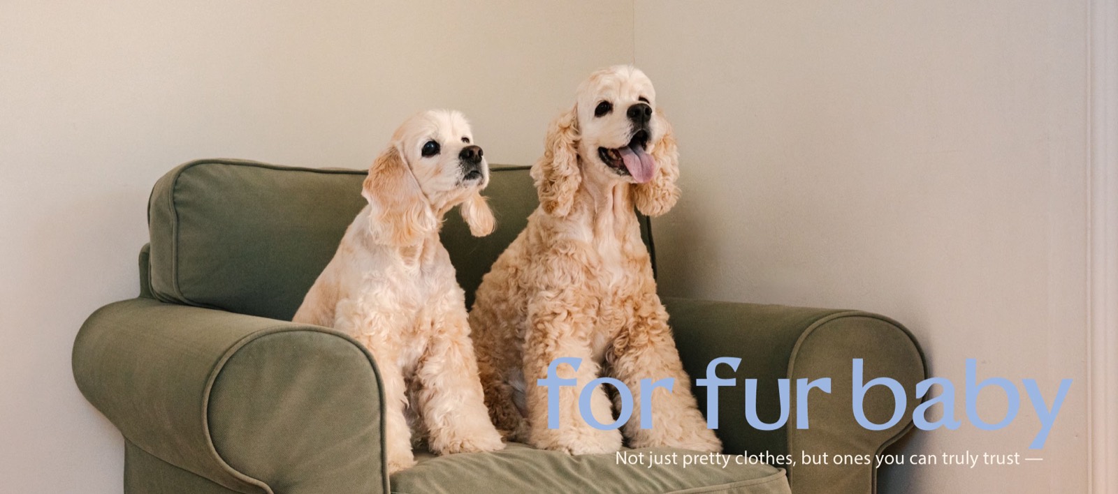 FOR FUR BABYのドッグウェア着用写真
