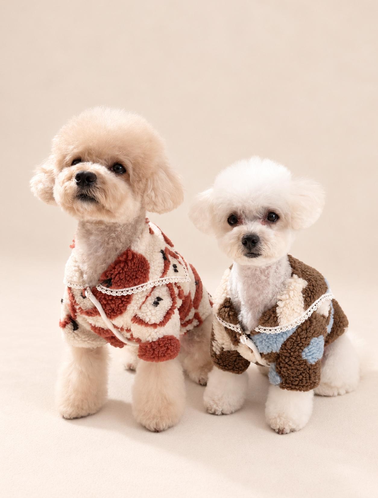grooming dogのドッグウェア着用写真
