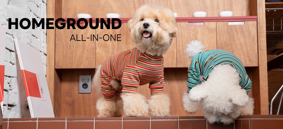 PUPPY GALLERYのドッグウェア着用写真