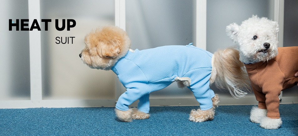 PUPPY GALLERYのドッグウェア着用写真