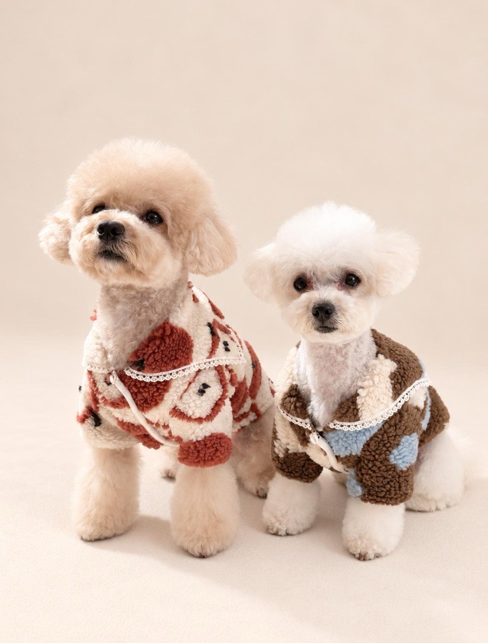 grooming dogの着用イメージ