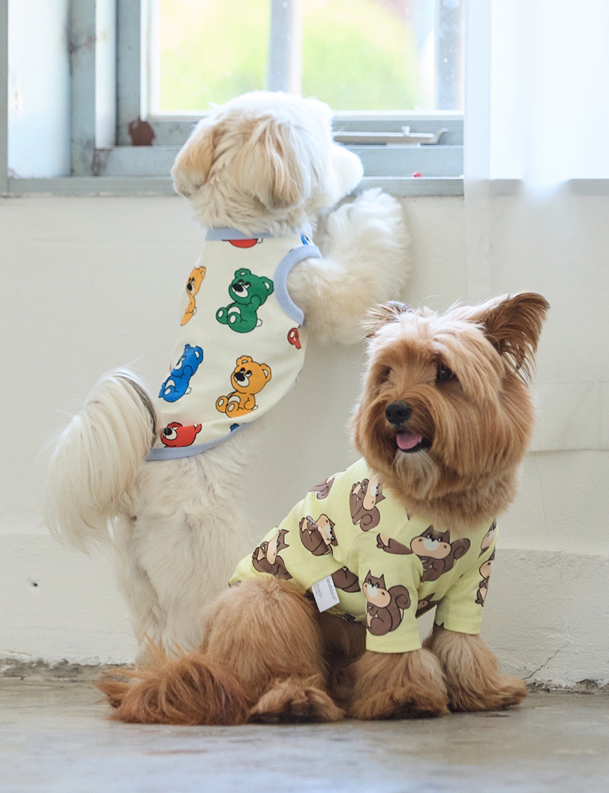andblankのTシャツを着たワンちゃん