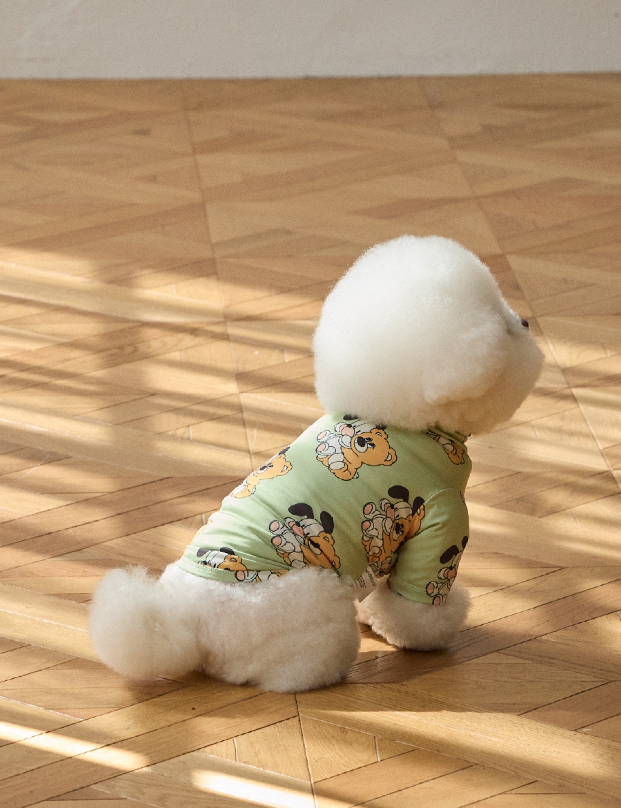 andblankのTシャツを着たビションフリーゼ