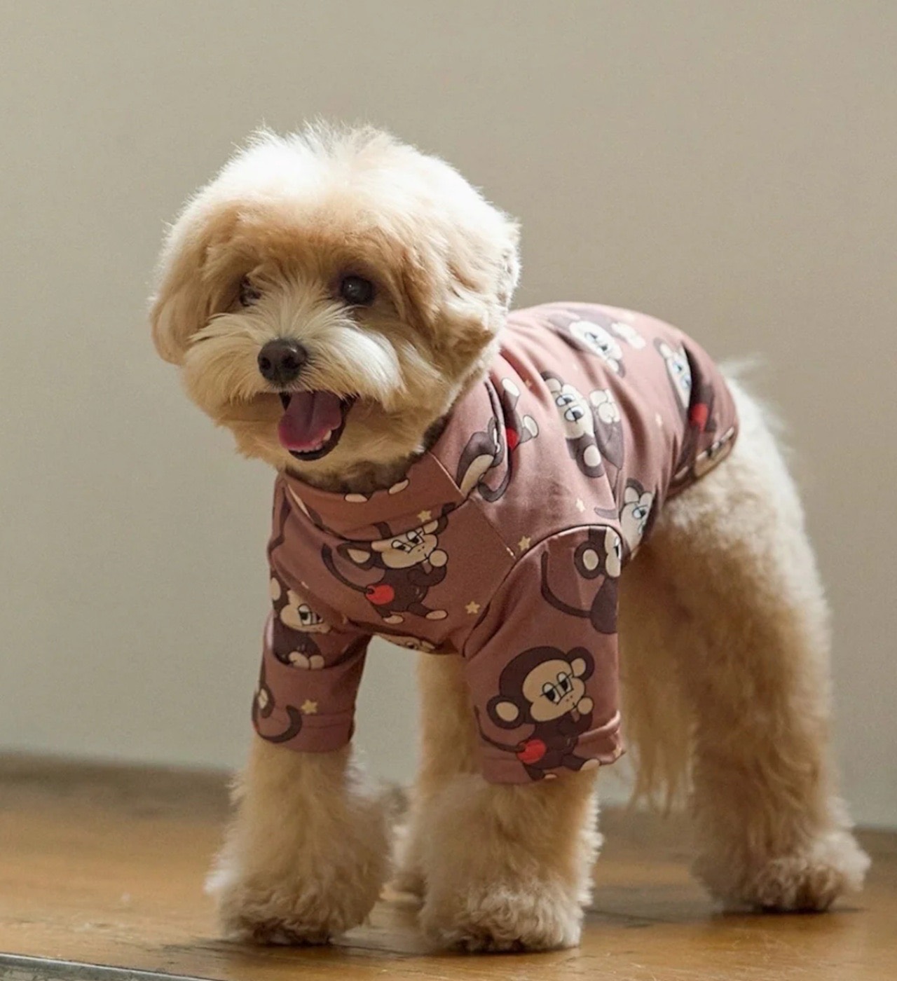 Tシャツを着たワンちゃん