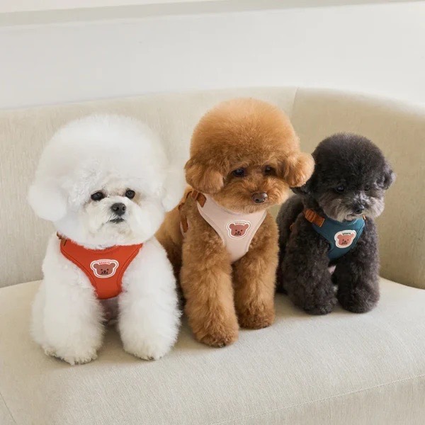 roly polyで取り扱う犬服の着用写真
