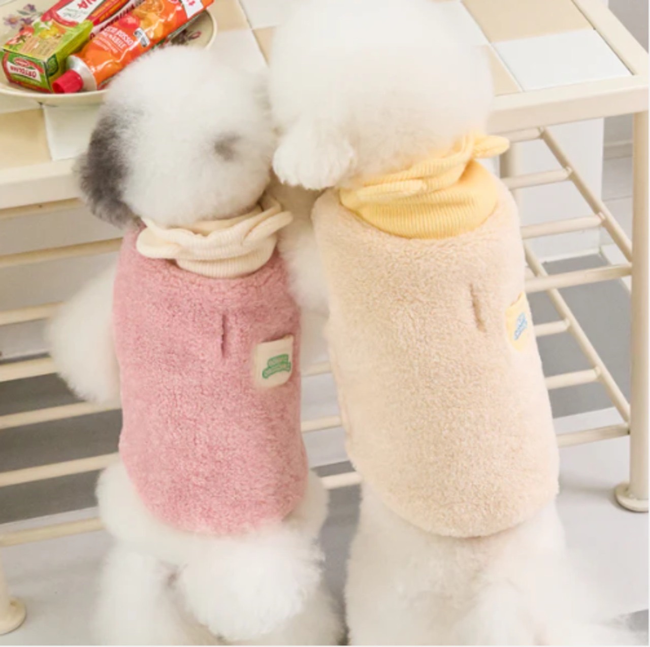 roly polyで取り扱う犬服の着用写真