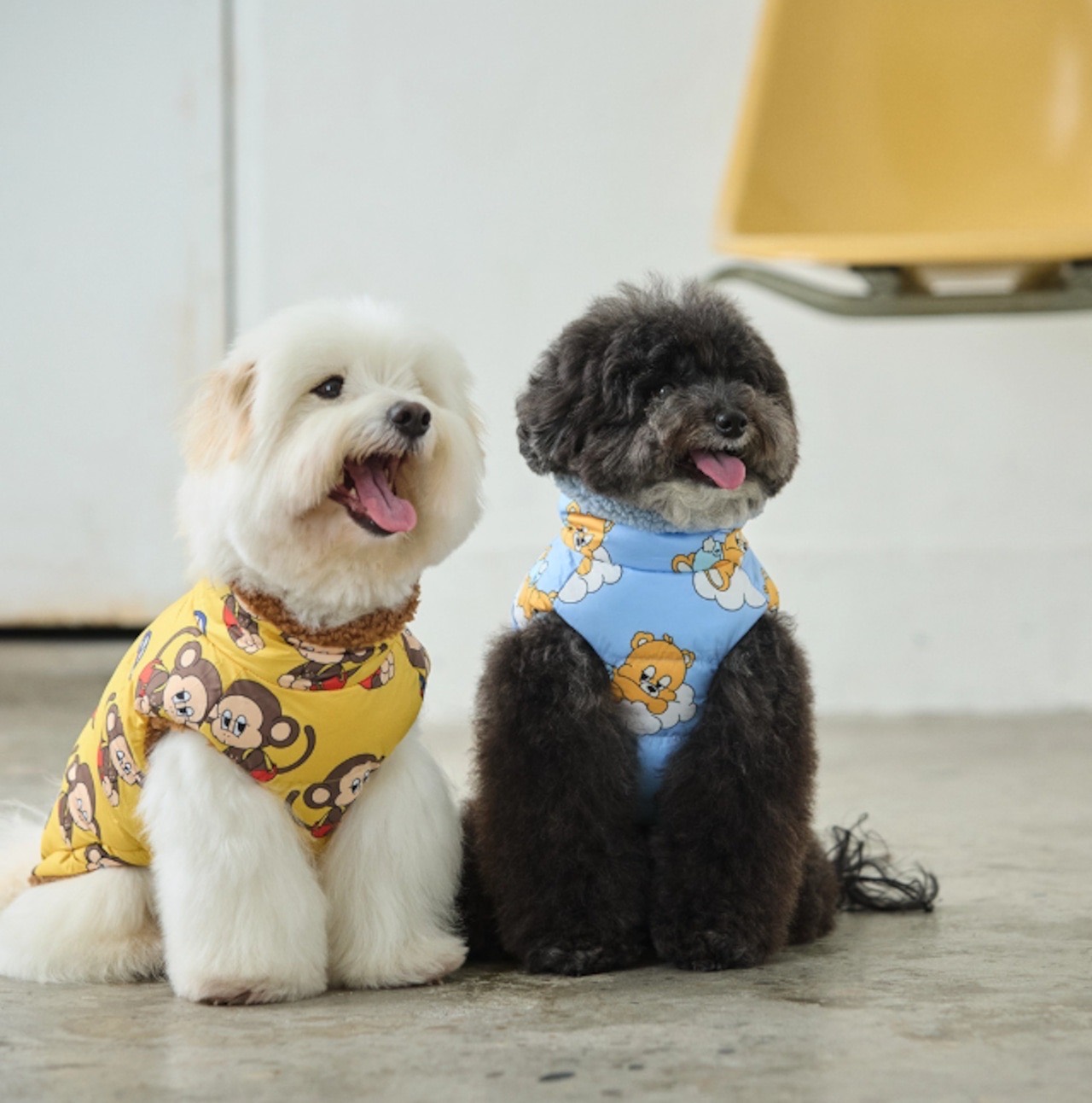 roly polyで取り扱う犬服の着用写真