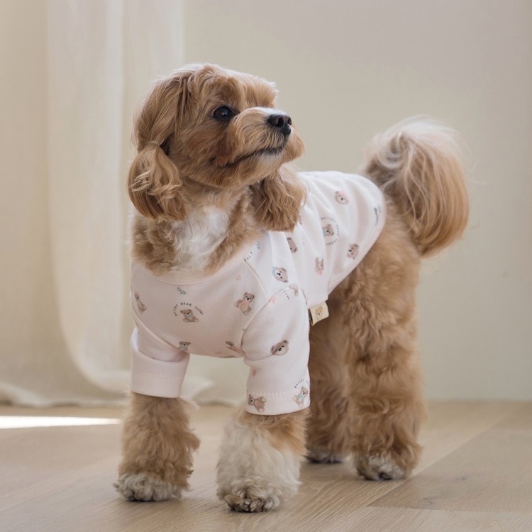 roly polyで取り扱う犬服の着用写真
